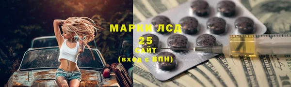 мяу мяу мука Аркадак