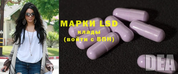 мяу мяу мука Аркадак